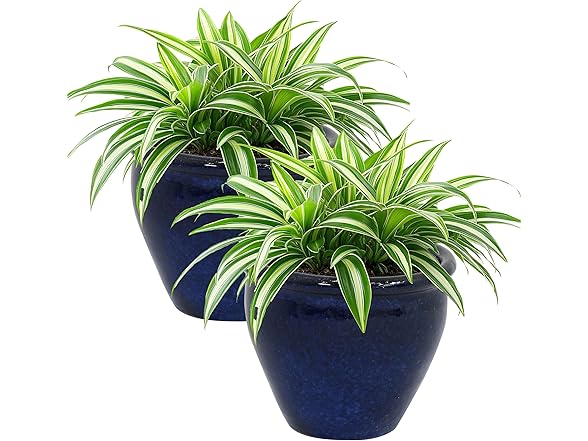 2PK Sunnydaze Decor AP-902 Ceramic Planters 9" Blue