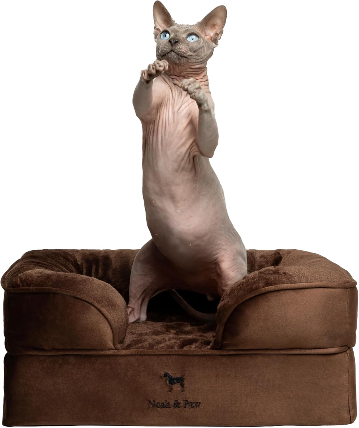 NOAH & PAW Dog/Cat Sofa- Small - Gallery 11