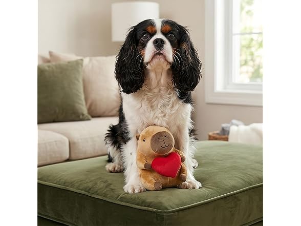 SPOT Capybara with Heart Plush Dog Toy