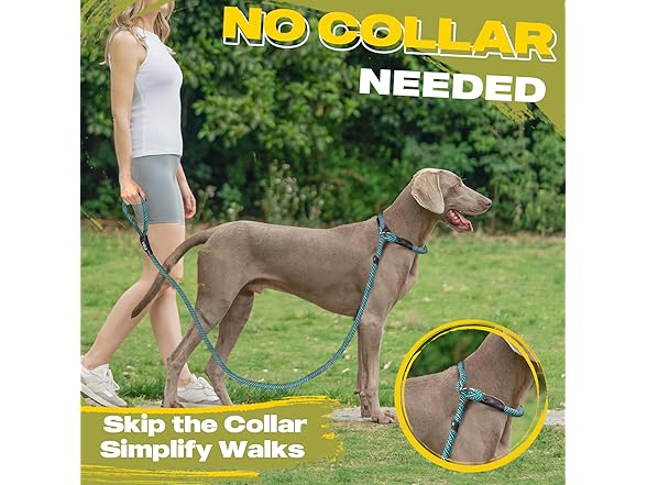 Fida Durable Slip Lead Dog Leash, 6 FT