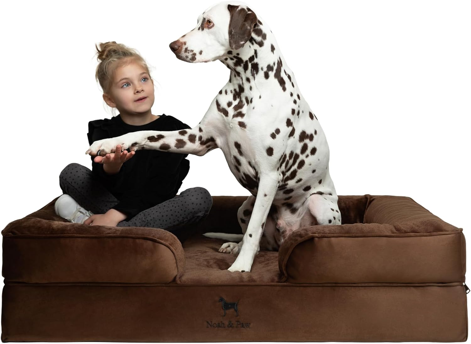 NOAH & PAW Dog Beds- Size and Style VARIES - Gallery 29