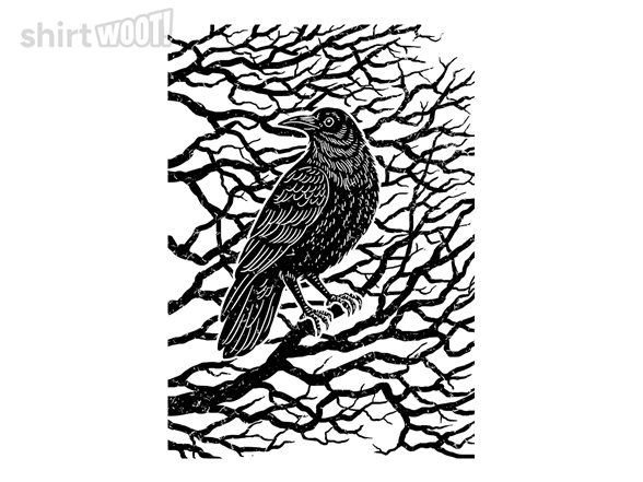 Silent Raven