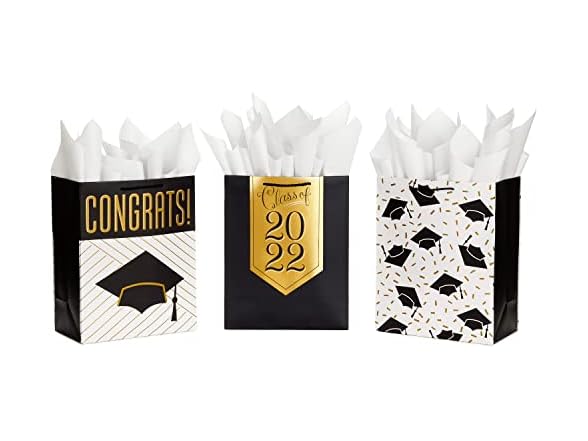Hallmark 13" Large Graduation Gift Bags Assortment