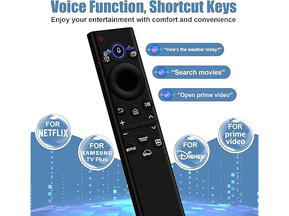 Leewardship Solar Voice TV Remote