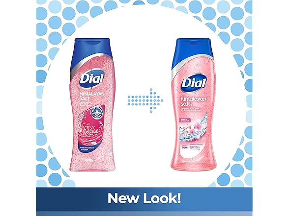 Dial Himalayan Salt Body Wash, 16oz