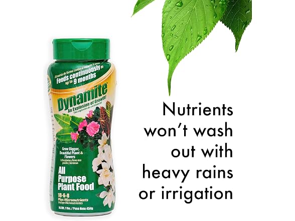 Dynamite All Purpose Plant Food 1-Pound