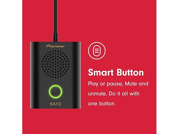 Pioneer Rayz Rally Portable Speaker