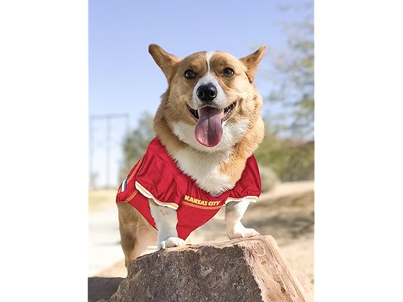 Pets First NFL Licensed Football Jersey Costume VARIES