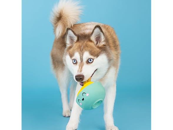 Fringe Studio Dog Toy, You Make Miso Happy