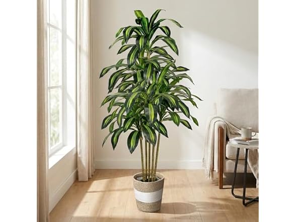 LuceAlberi 5FT Artificial Dracaena Tree