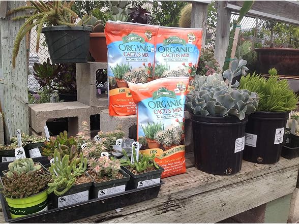 Espoma Organic Cactus Potting Mix