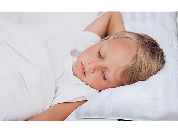 DrSleeep Down Alternative Pillow Set