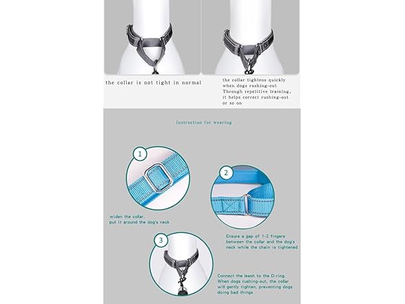 Reflective Martingale Dog Collar