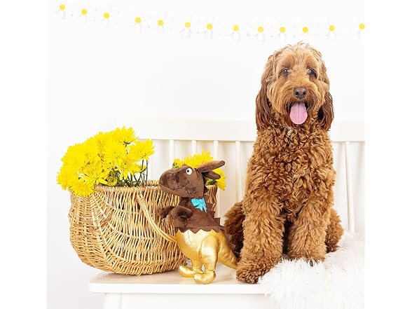 Fringe Studio Plush Dog Toy, Choc-A-Saurus Rex