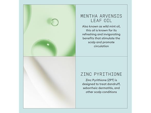Nioxin Scalp Recovery System Purifying Shampoo