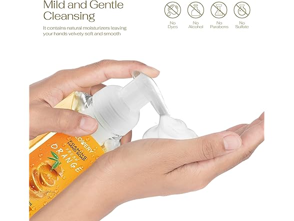 Foaming Hand Soap 10 Pack