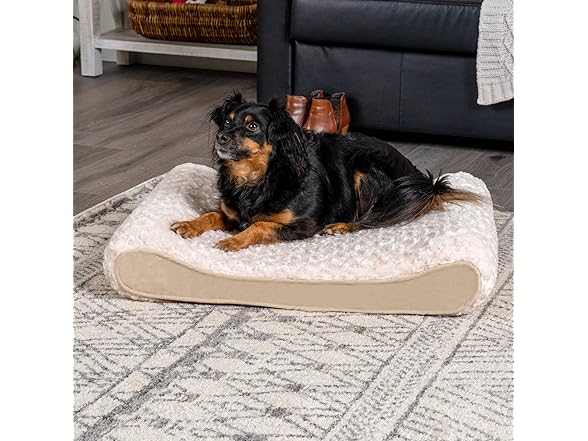 Furhaven Orthopedic Dog Bed for Medium Small Dogs