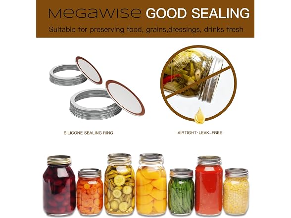 MEGAWISE Mason Jar Lids and Bands Set, 10 Pack 