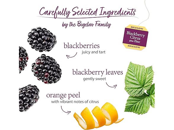 Bigelow Tea Blackberry Citrus plus Zinc Herbal Tea