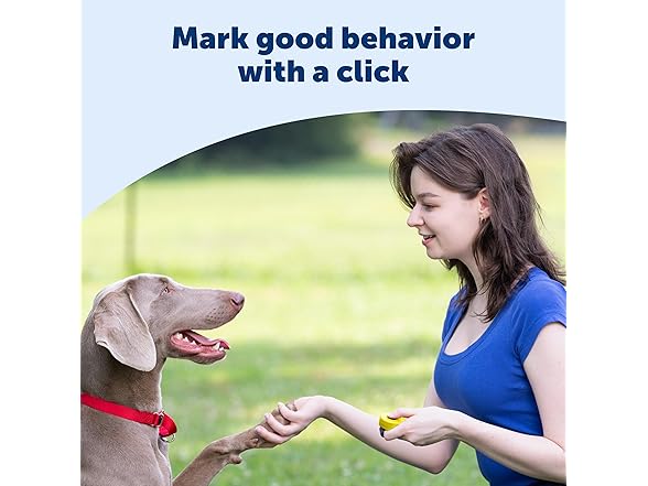PetSafe Clik-R Training Tool Clicker Trainer