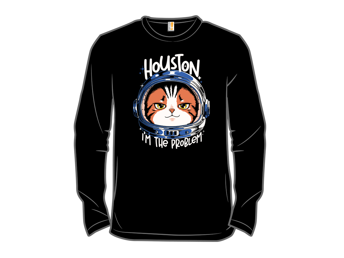 Houston Mood Problem - Gallery 13