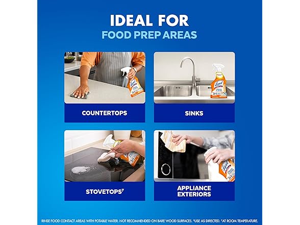 Lysol Pro Kitchen Spray 22oz (1ct)