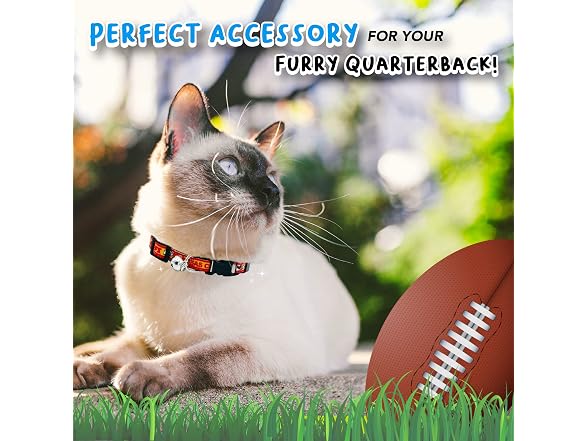 NFL CAT Collar Kansas City Chiefs