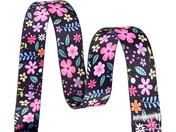 HQYDDMI Dog Collar and Leash Set M