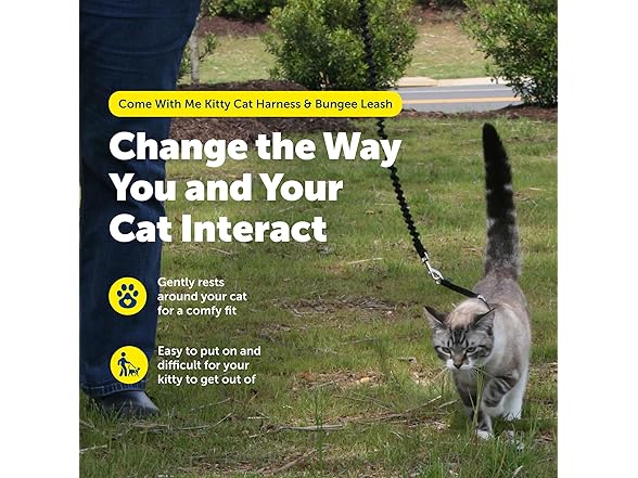 PetSafe Come With Me Kitty Harness and Bungee Leash
