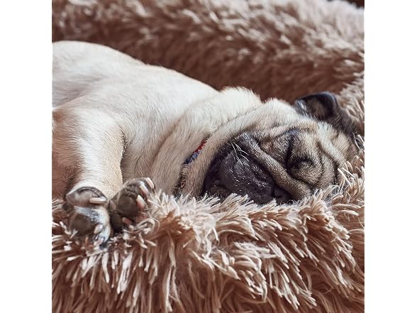 Small Deep Sleep Calming Bed for Dogs with An