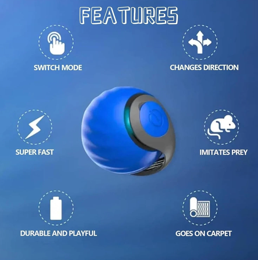 2-Pk Speedy Tail Interactive Cat Toy - Gallery 8