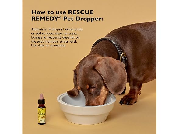 Rescue Remedy Pet Dropper - 20mL - Stres