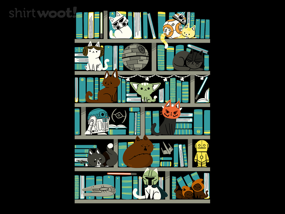 Library Kitten Wars - Gallery 4