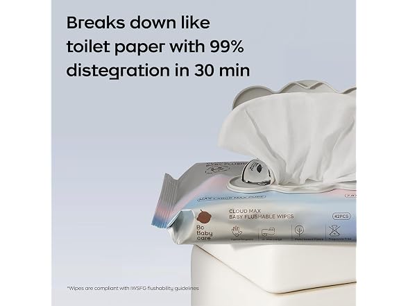 Cloud Max Flushable Wipes