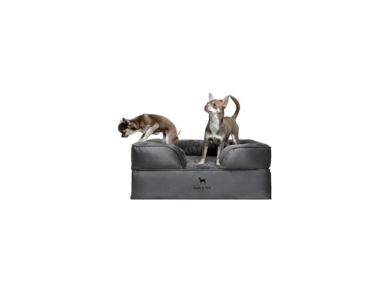 NOAH & PAW SO-VE-GRY-M M NOAH & PAW Dog Bed - Sofa Gr