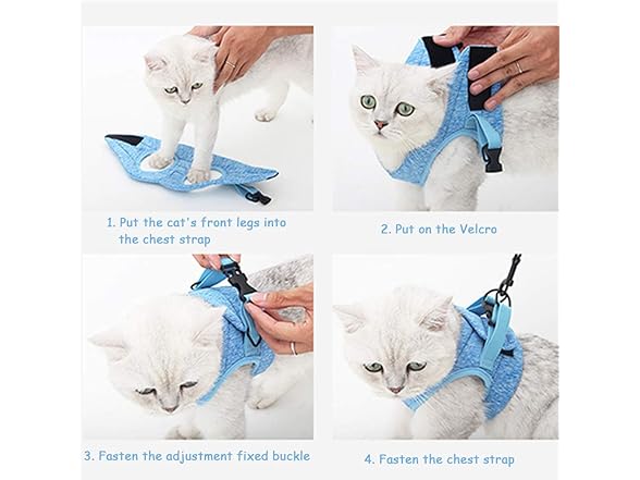 PJDDP Small Cat Harness with Leash