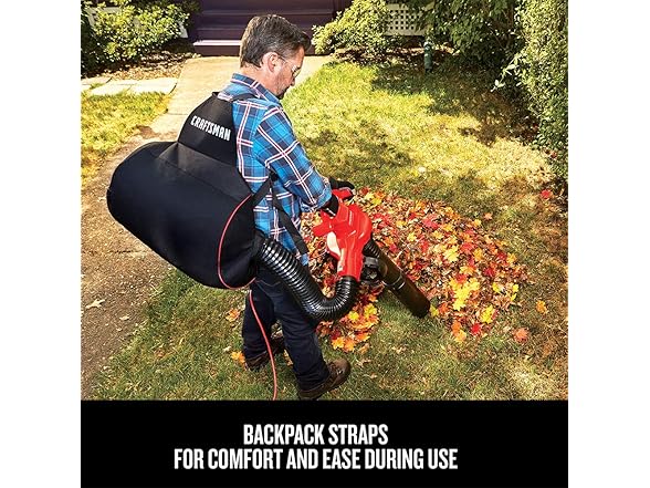 CRAFTSMAN 3-in-1 Leaf Blower, Vacuum and Mulcher