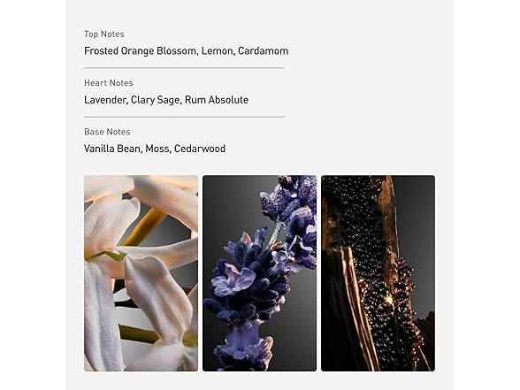 Rabanne Phantom Intense Eau de Parfum for Men