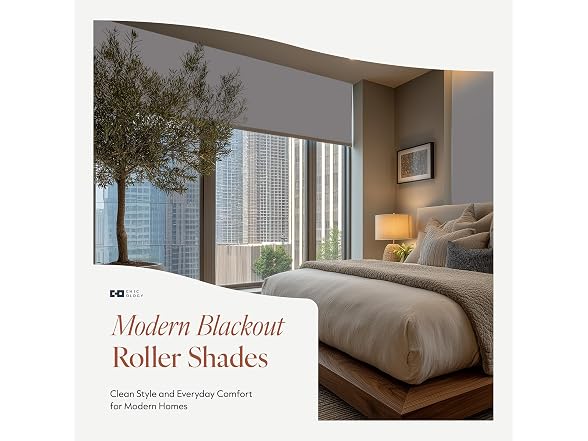 CHICOLOGY Cordless Roller Shades for Windows 67"W x 72"H