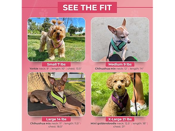 Gooby Comfort X Head in Harness - Small