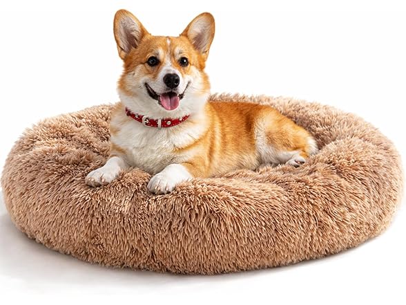 FITION Dog & Cat Bed for Indoor, 24in