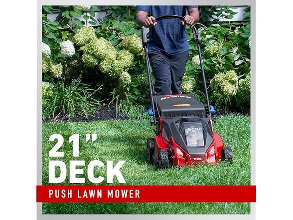 Toro 60V MAX* 21 in. Stripe Push Lawn Mower