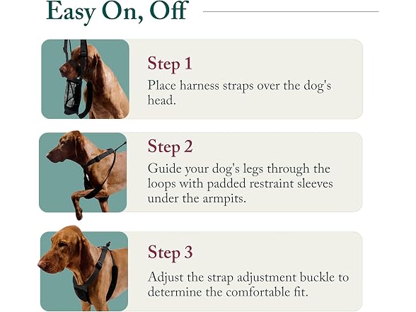 Sporn No Pull Dog Harness, Durable Nylon Mes