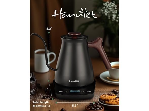 Harriet Black Gooseneck Electric Kettle