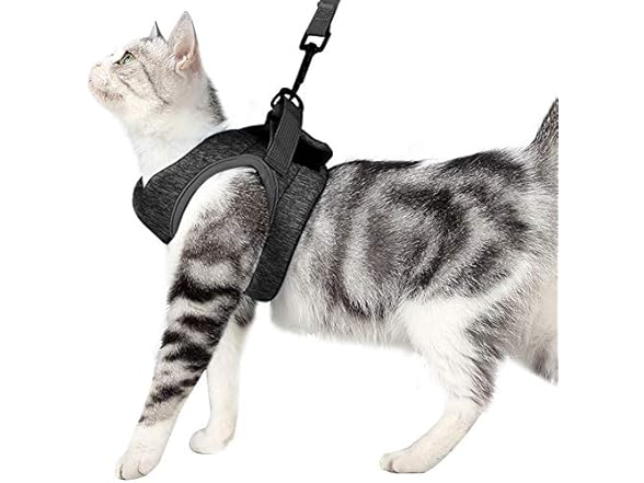 PJDDP Small Cat Harness with Leash