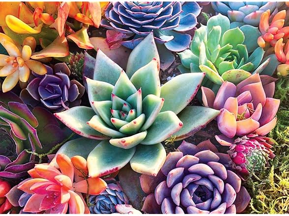 James Mertke - Simple Succulent - 1000 Piece Jigsaw Puzzle