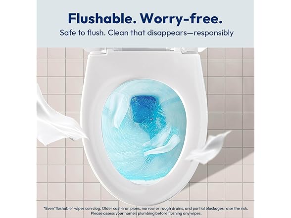 RPE Life Flushable Wet Wipes 6 Large Packs