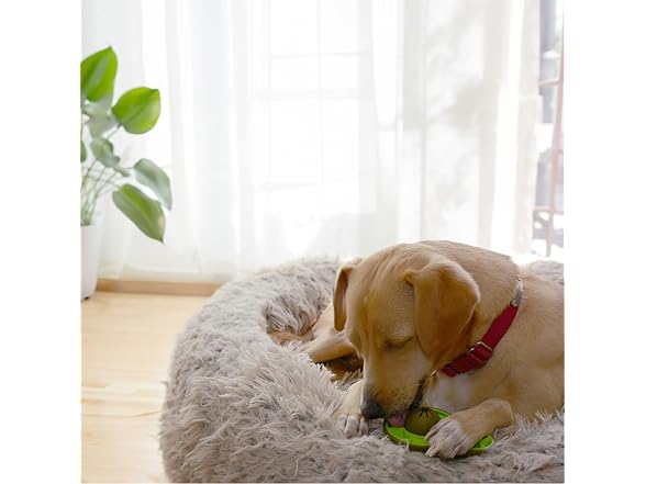 Friends Forever Bully Stick Holder for Dogs