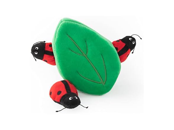 Burrow Ladybugs Leaf