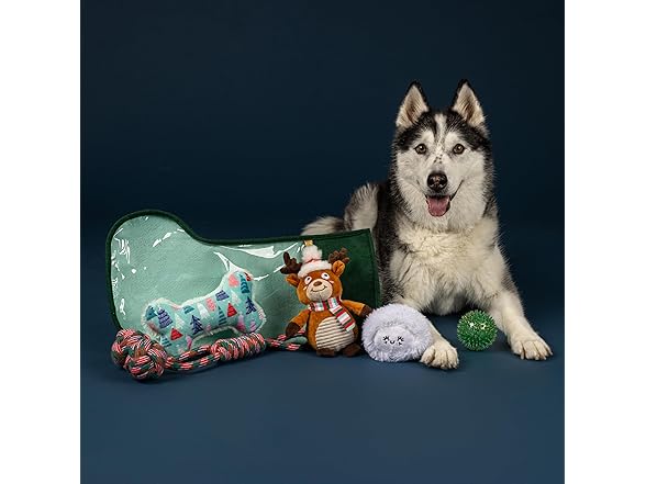 Fringe Studio Pet Toy, Happy Pawlidays Dog